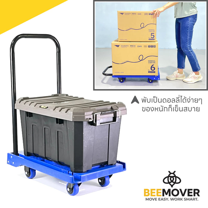 รถเข็น 